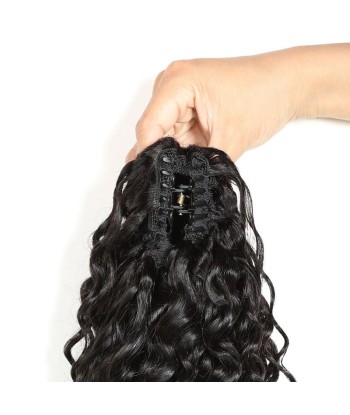 Coda di cavallo nera coda di cavallo con pinze naturali Remy Hair Deep Wave de France