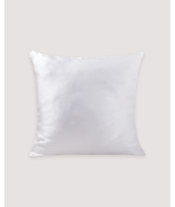 Silk Dream Pillow Case Dans la société mordern