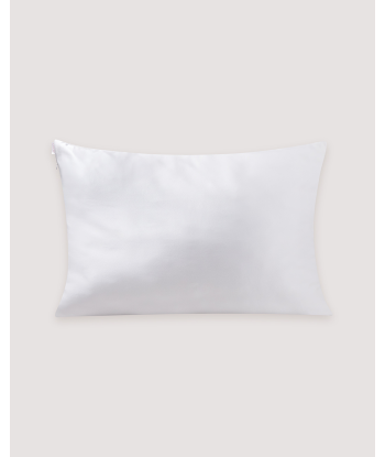 Silk Dream Pillow Case Dans la société mordern