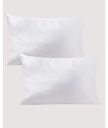 Silk Dream Pillow Case Dans la société mordern