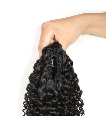 Zwarte paardenstaart paardenstaart met natuurlijke tang Remy Hair Kinky Curly des créatures d'habitude